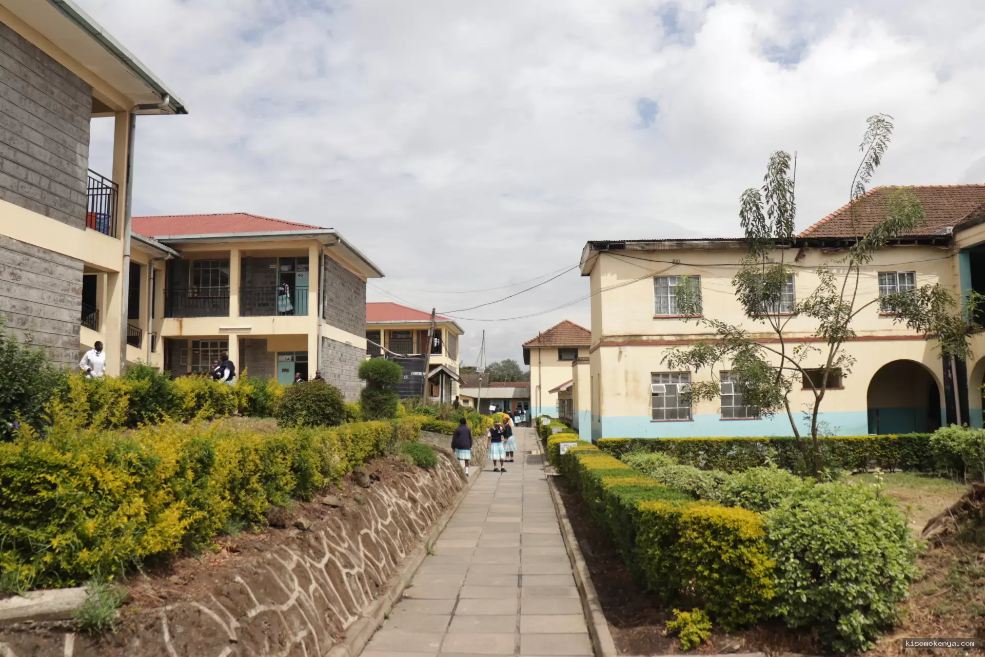 Kisomo Kenya image 2