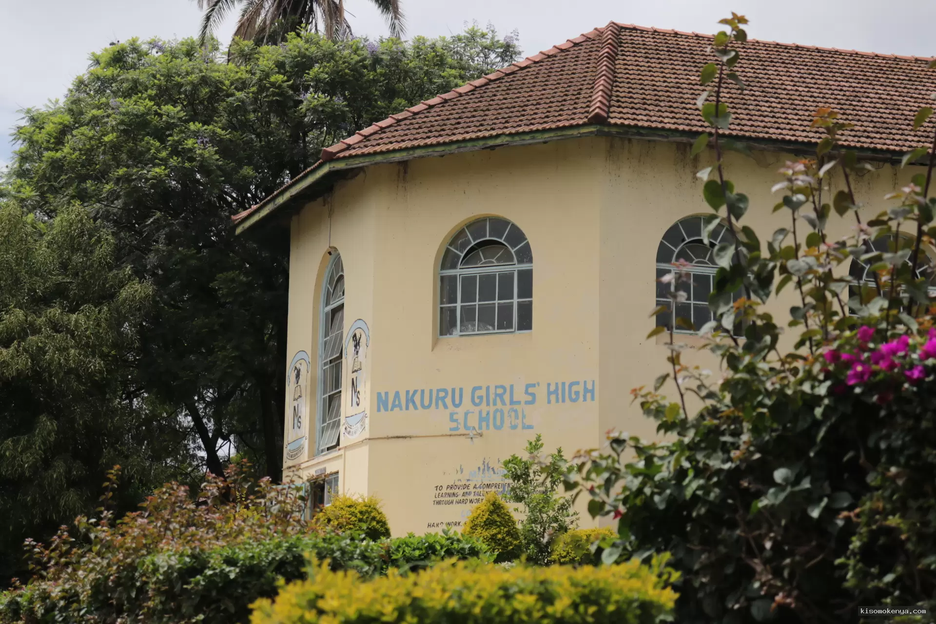 Kisomo Kenya image 1