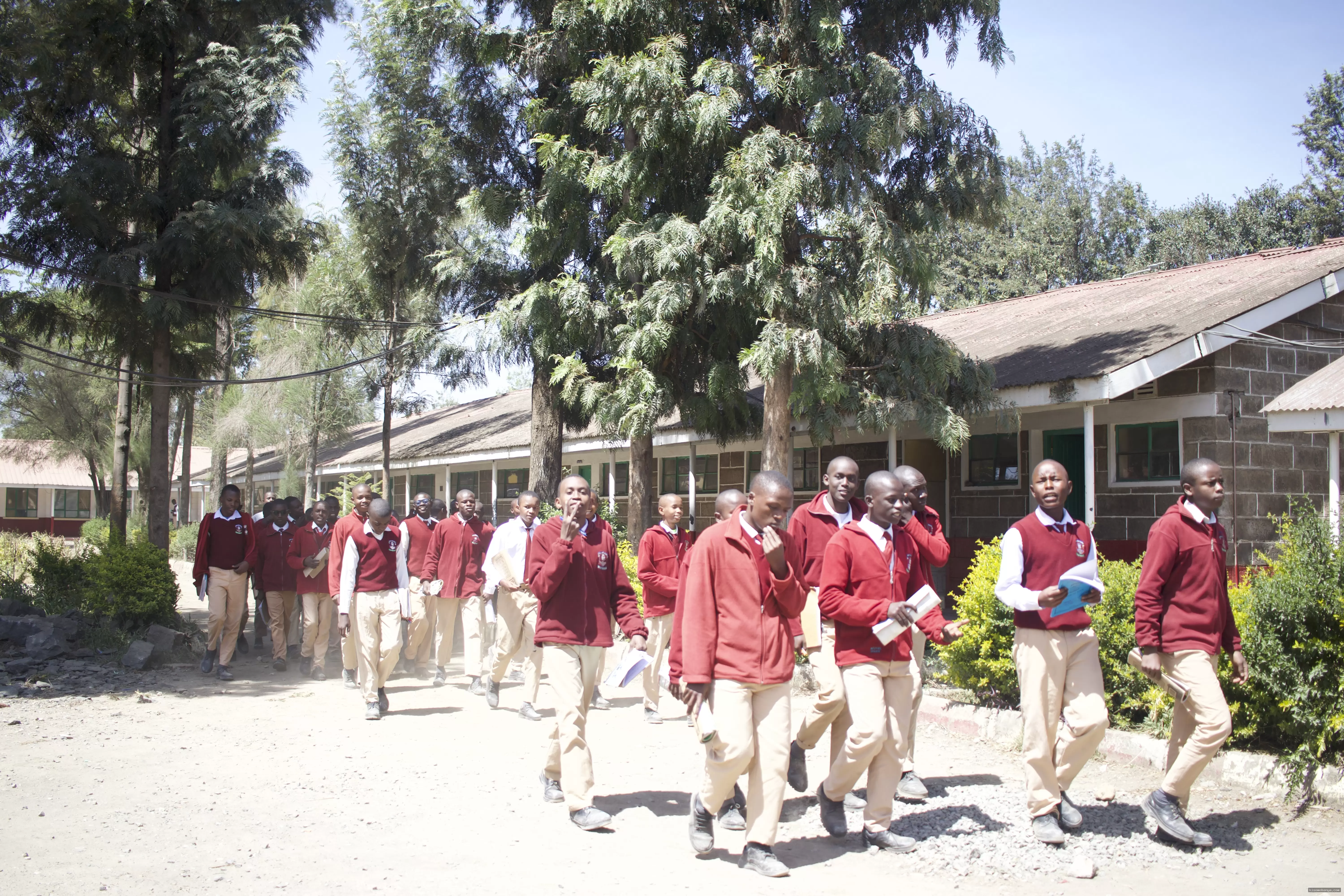 Kisomo Kenya image 1