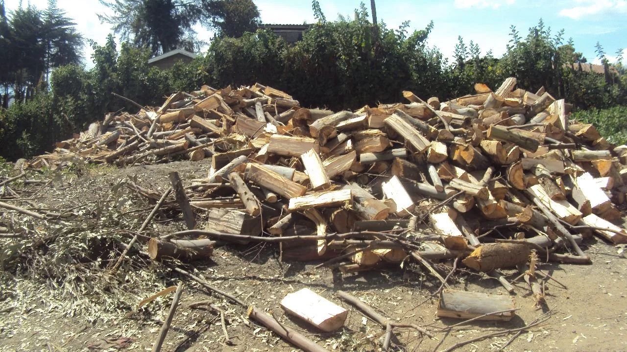 Njenga Karume Secondary School gallery 2024  photo 16
