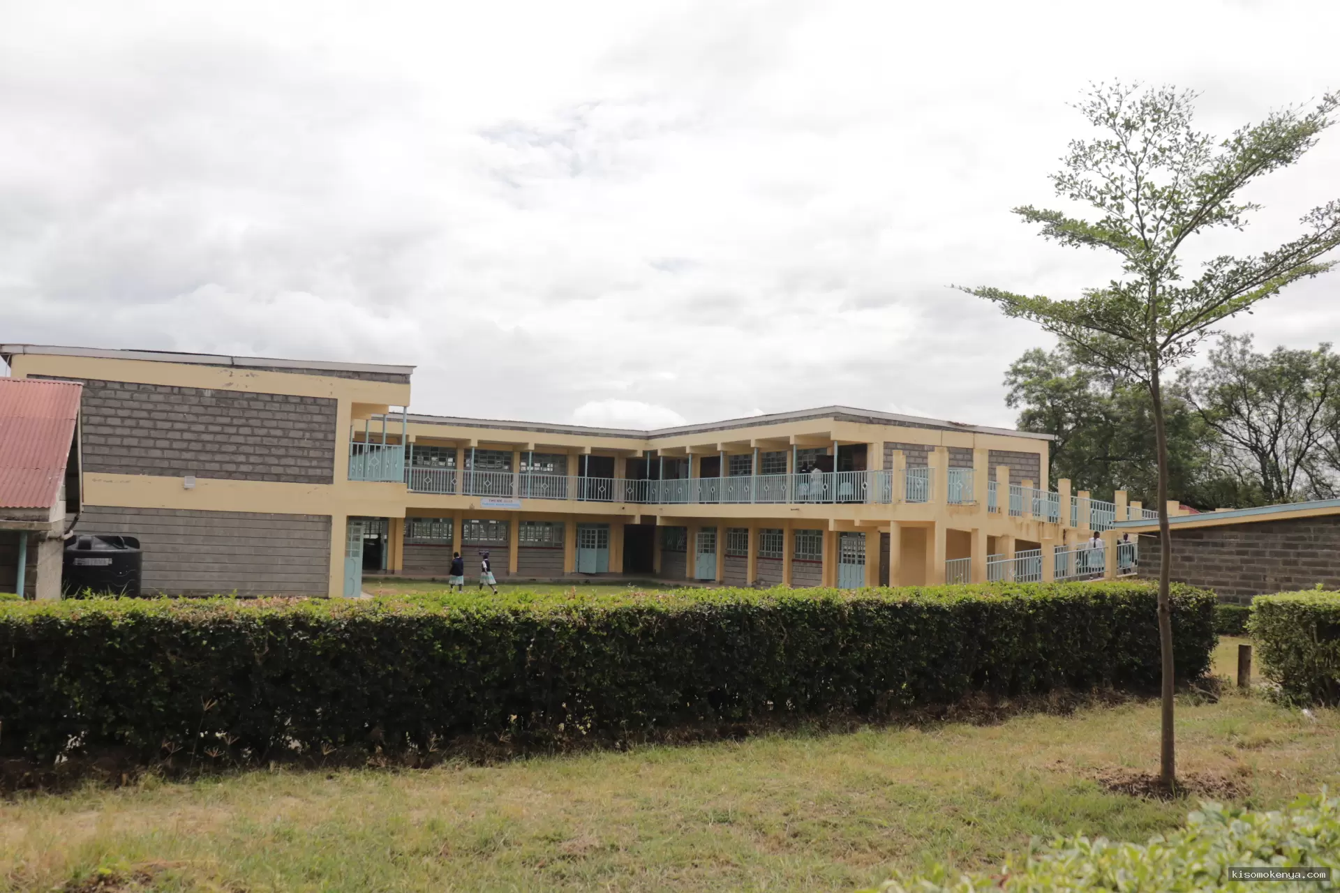 Kisomo Kenya image 3
