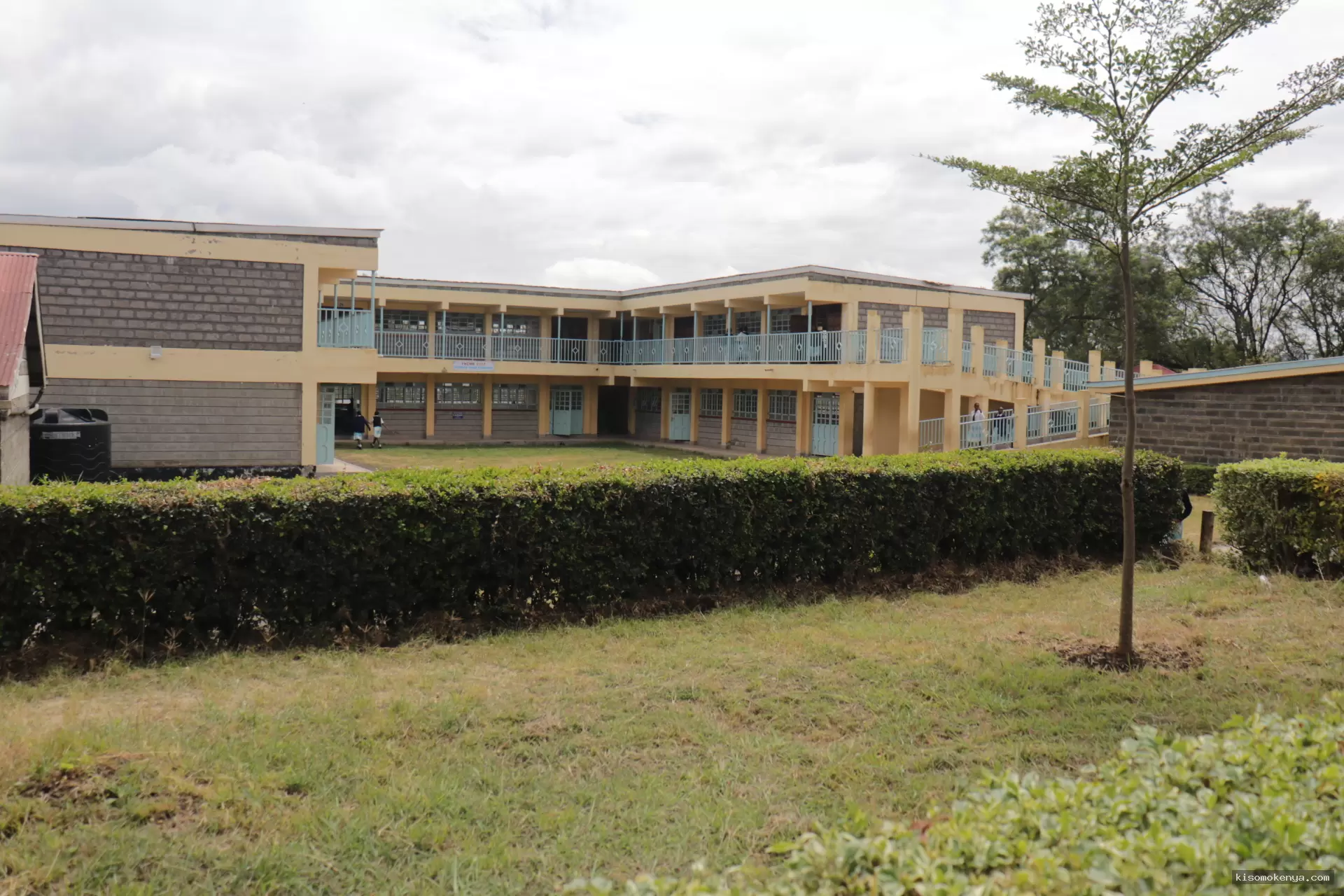 Kisomo Kenya image 4