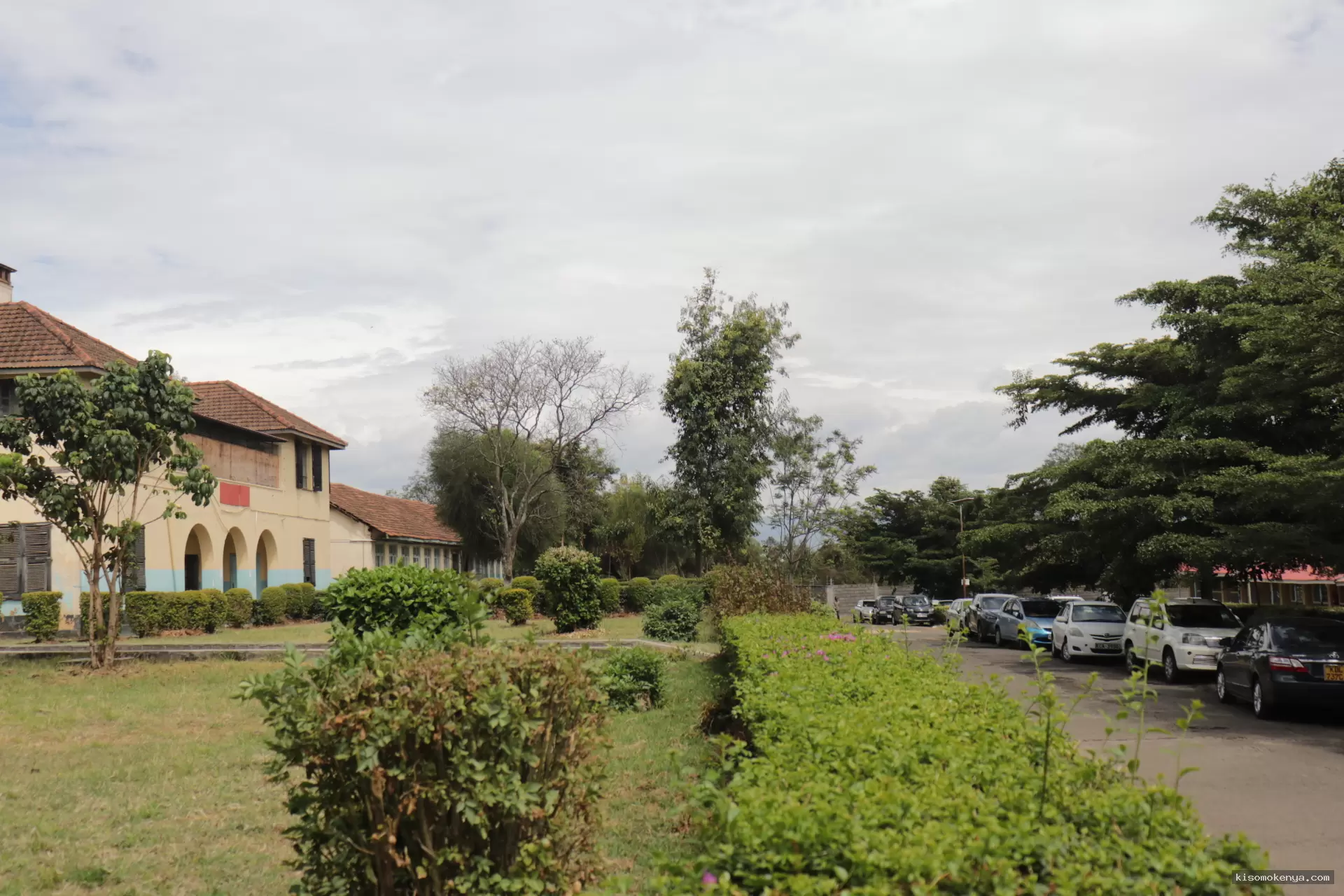 Kisomo Kenya image 2
