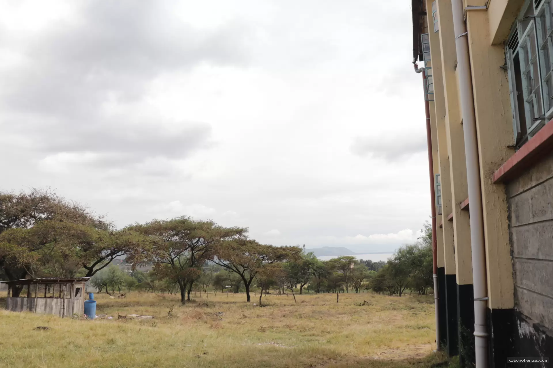 Kisomo Kenya image 1